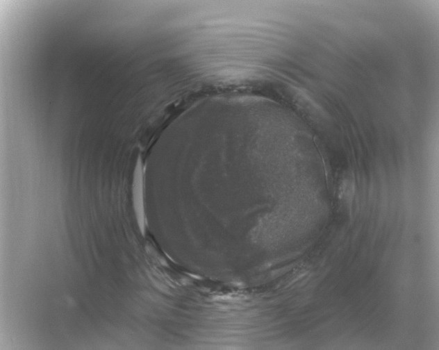 X0000068300868200605051930