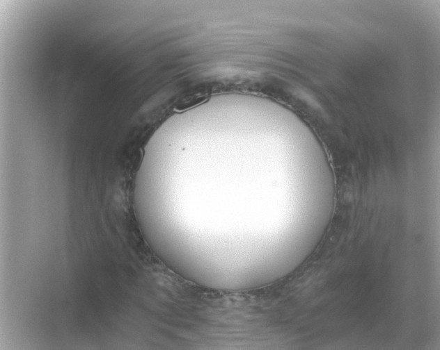 X0000068300869200605051930