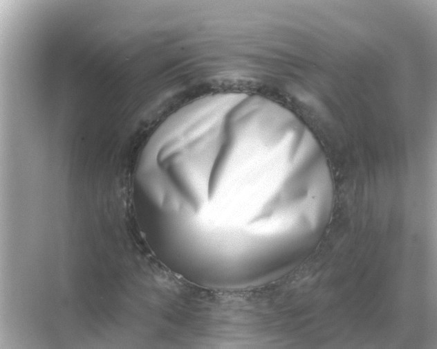 X0000068300870200605051930