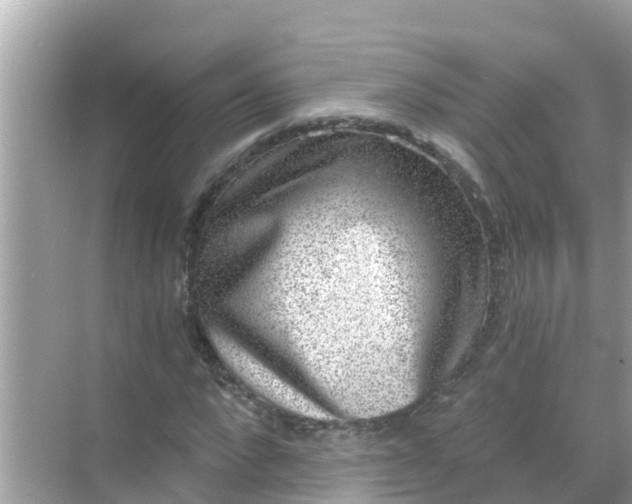 X0000068300872200605051930