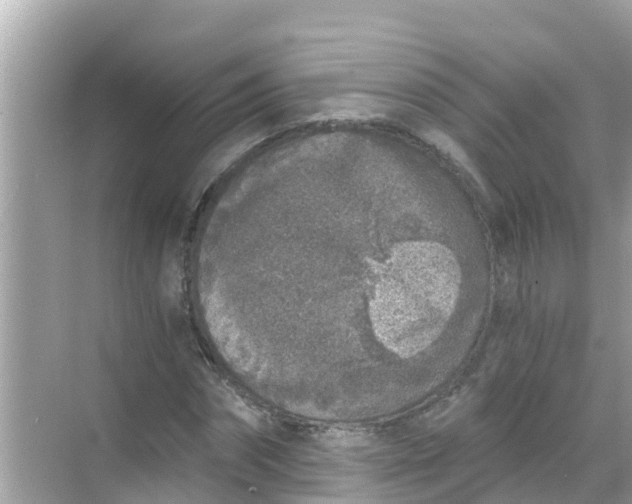 X0000068300874200605051930