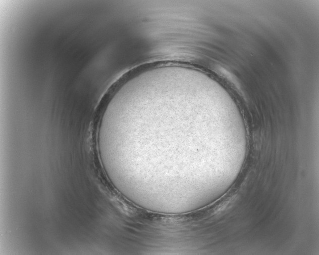 X0000068300875200605051930