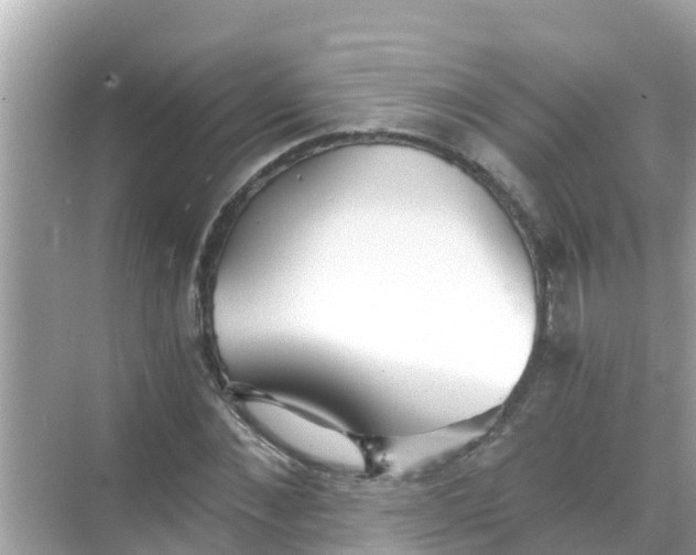 X0000068300876200605051930