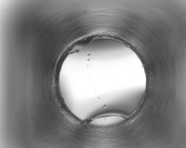 X0000068300880200605051930