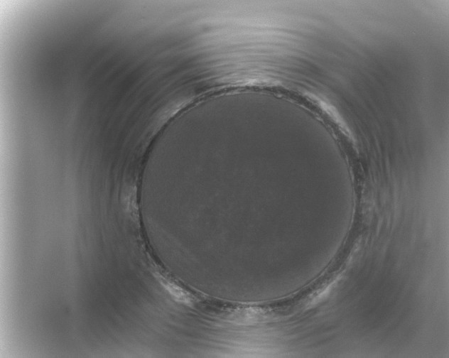 X0000068300881200605051930