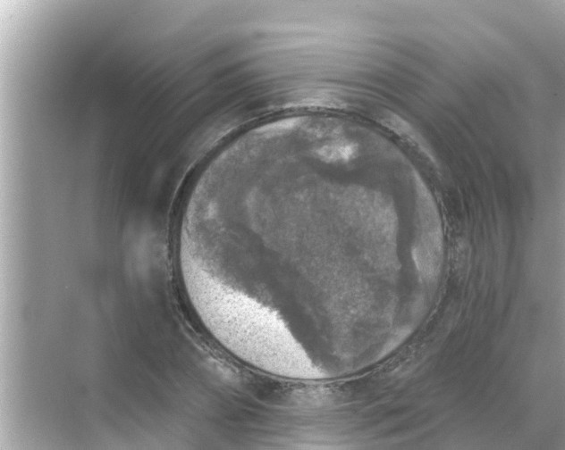 X0000068300882200605051930