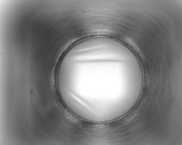 X0000068300883200605051930