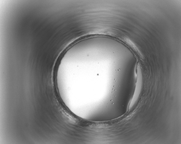 X0000068300884200605051930