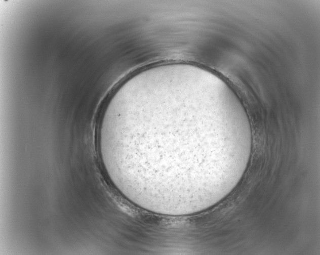 X0000068300886200605051930