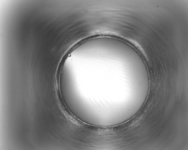 X0000068300887200605051930