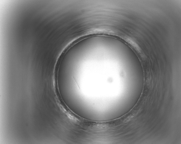 X0000068300888200605051930