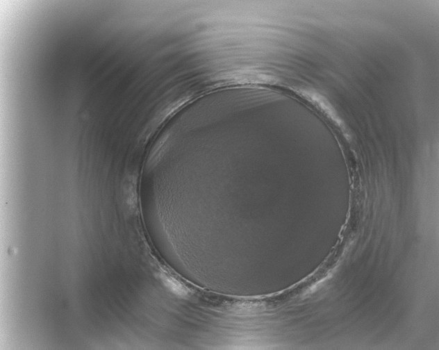 X0000068300889200605051930