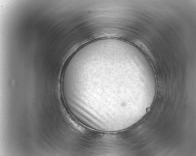 X0000068300890200605051930