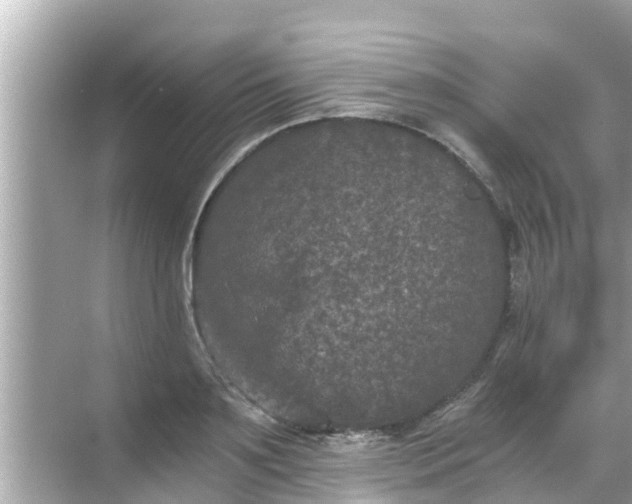 X0000068300891200605051930