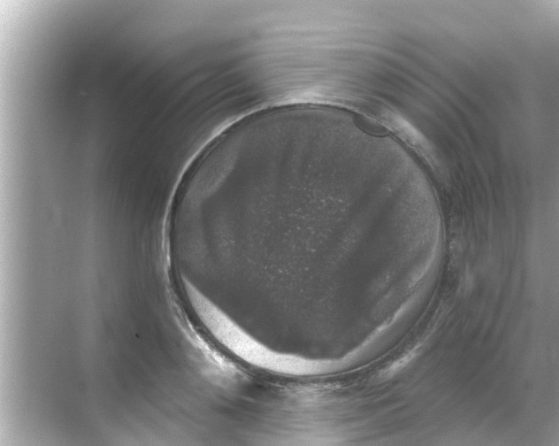 X0000068300892200605051930