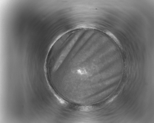 X0000068300893200605051930