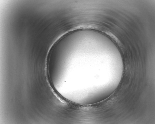 X0000068300894200605051930