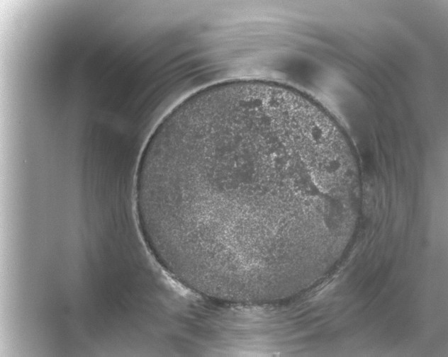 X0000068300895200605051930