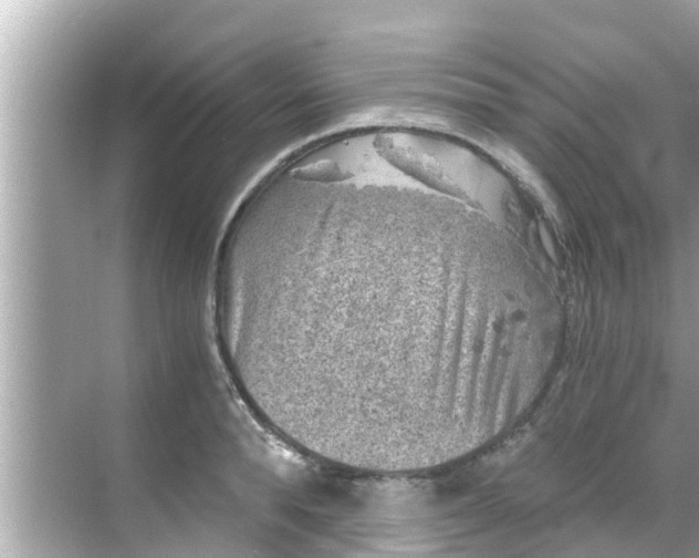 X0000068300896200605051930