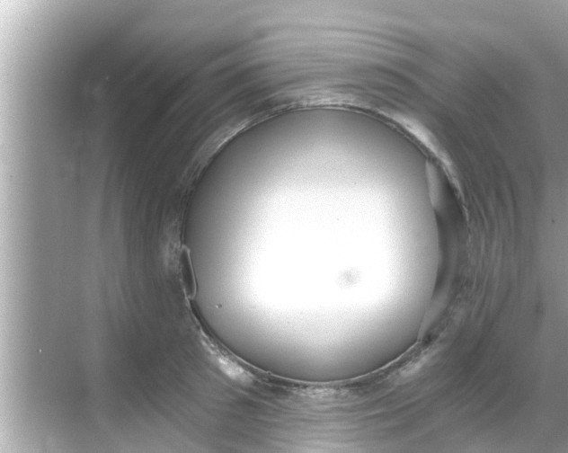 X0000068300897200605051930