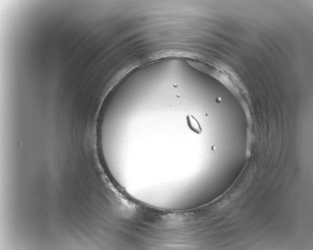 X0000068300898200605051930