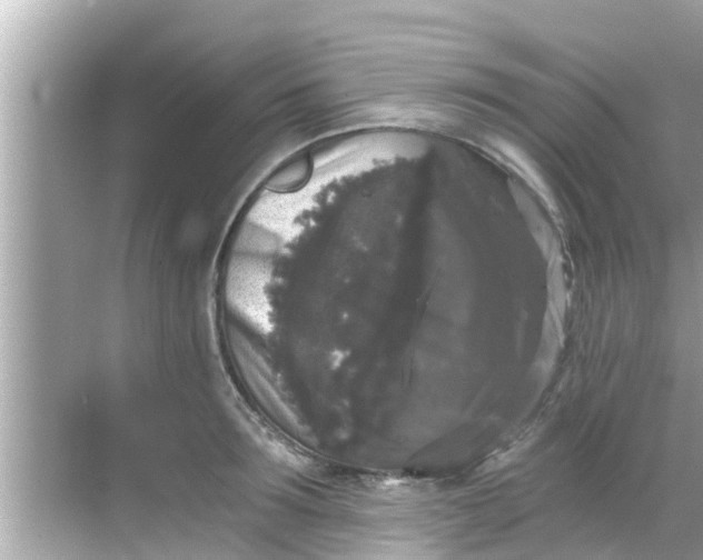 X0000068300899200605051930