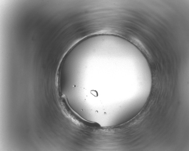 X0000068300900200605051930