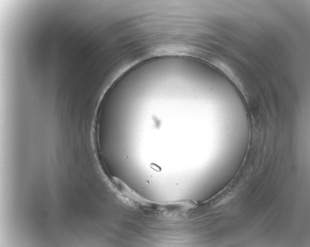 X0000068300901200605051930