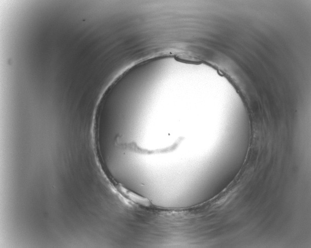 X0000068300902200605051930