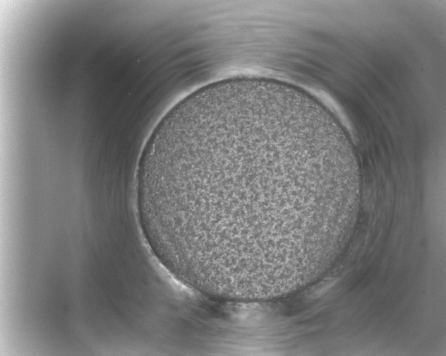 X0000068300903200605051930