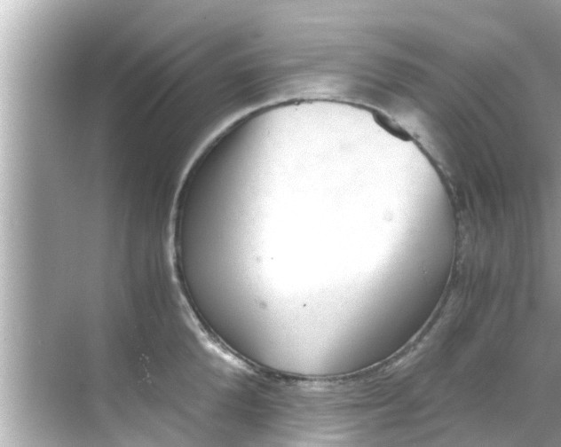 X0000068300904200605051930