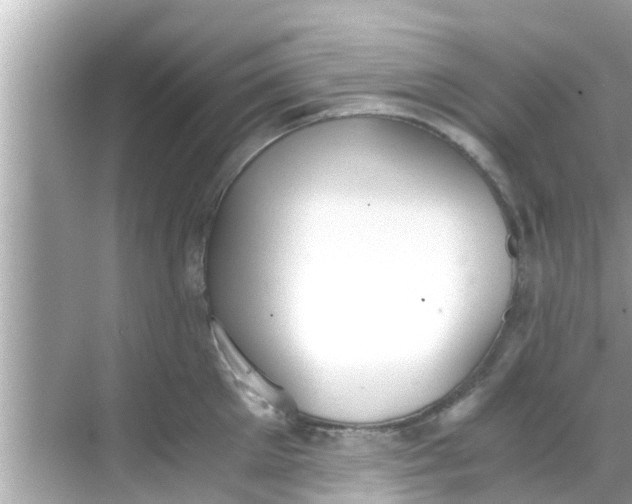 X0000068300905200605051930