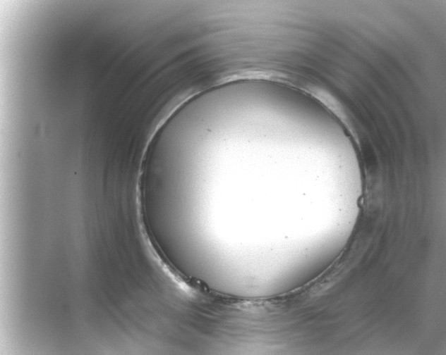 X0000068300906200605051930