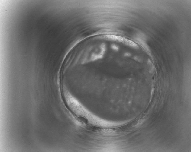 X0000068300907200605051930