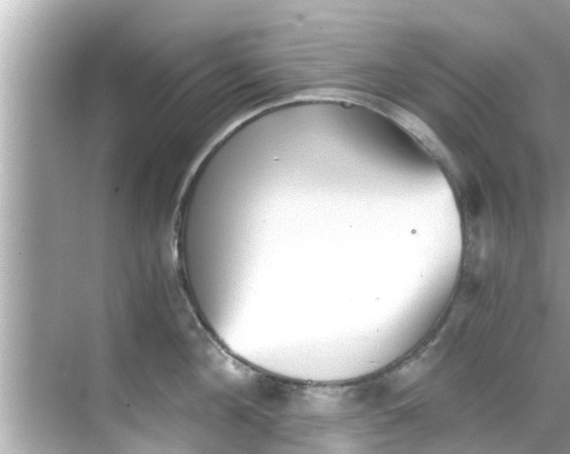 X0000068300908200605051930