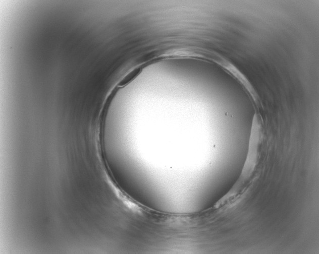 X0000068300909200605051930