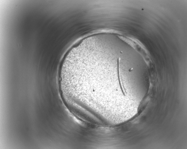 X0000068300910200605051930