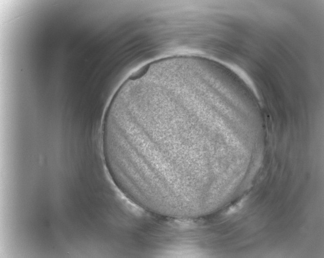 X0000068300911200605051930