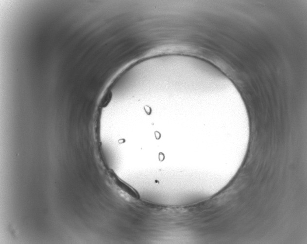 X0000068300912200605051930