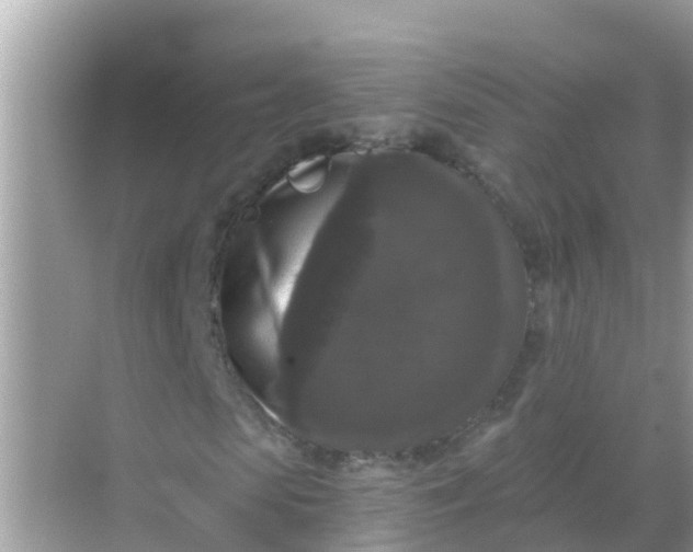 X0000068300913200605051929