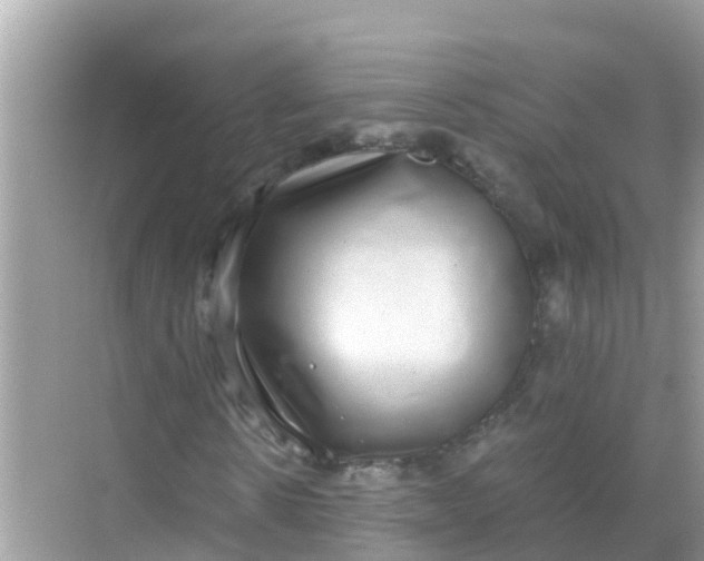 X0000068300914200605051929