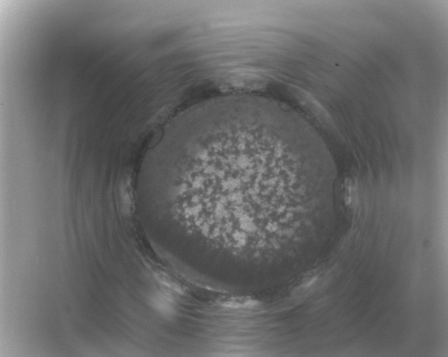 X0000068300915200605051929