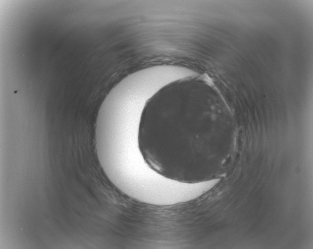 X0000068300916200605051929