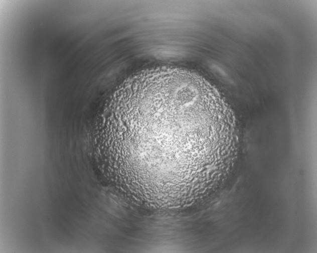 X0000068300917200605051929