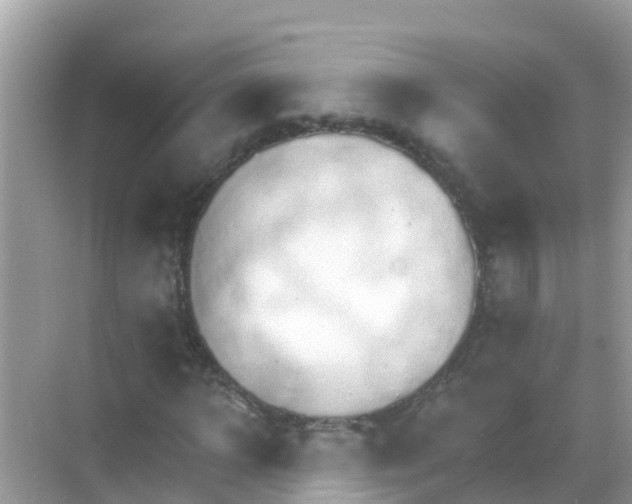 X0000068300918200605051929