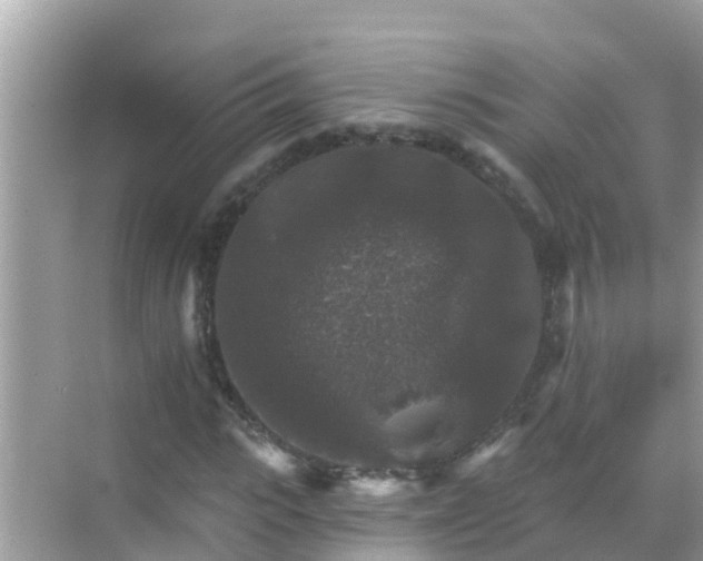 X0000068300919200605051929