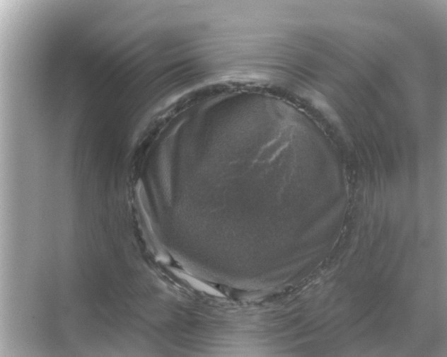 X0000068300920200605051929