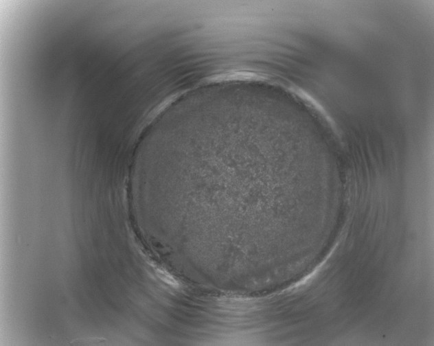 X0000068300921200605051929