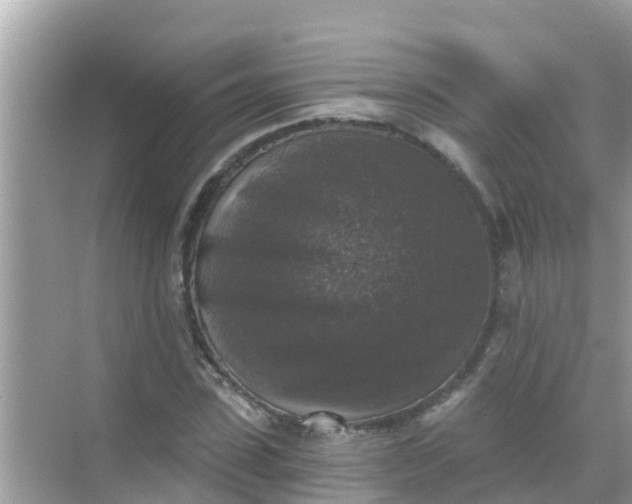 X0000068300923200605051929