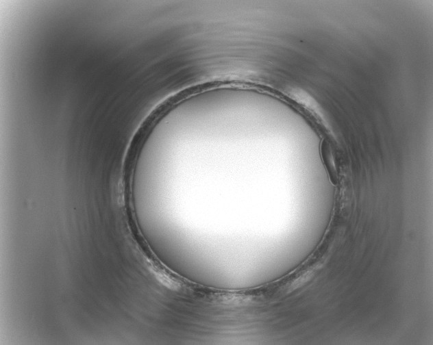 X0000068300924200605051929